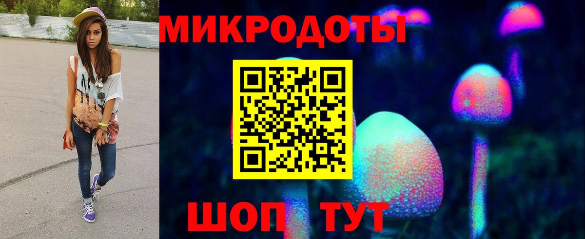 Черняховск  Псилоцибиновые грибы Psilocybe  Вход с VPN 