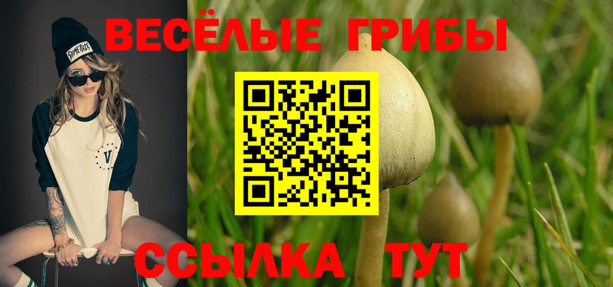 Псилоцибиновые грибы ЛСД Черняховск
